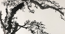 中医药膳营养师招生简章