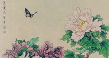 中医生殖健康理疗师招生简章