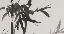 中医学保健师招生简章